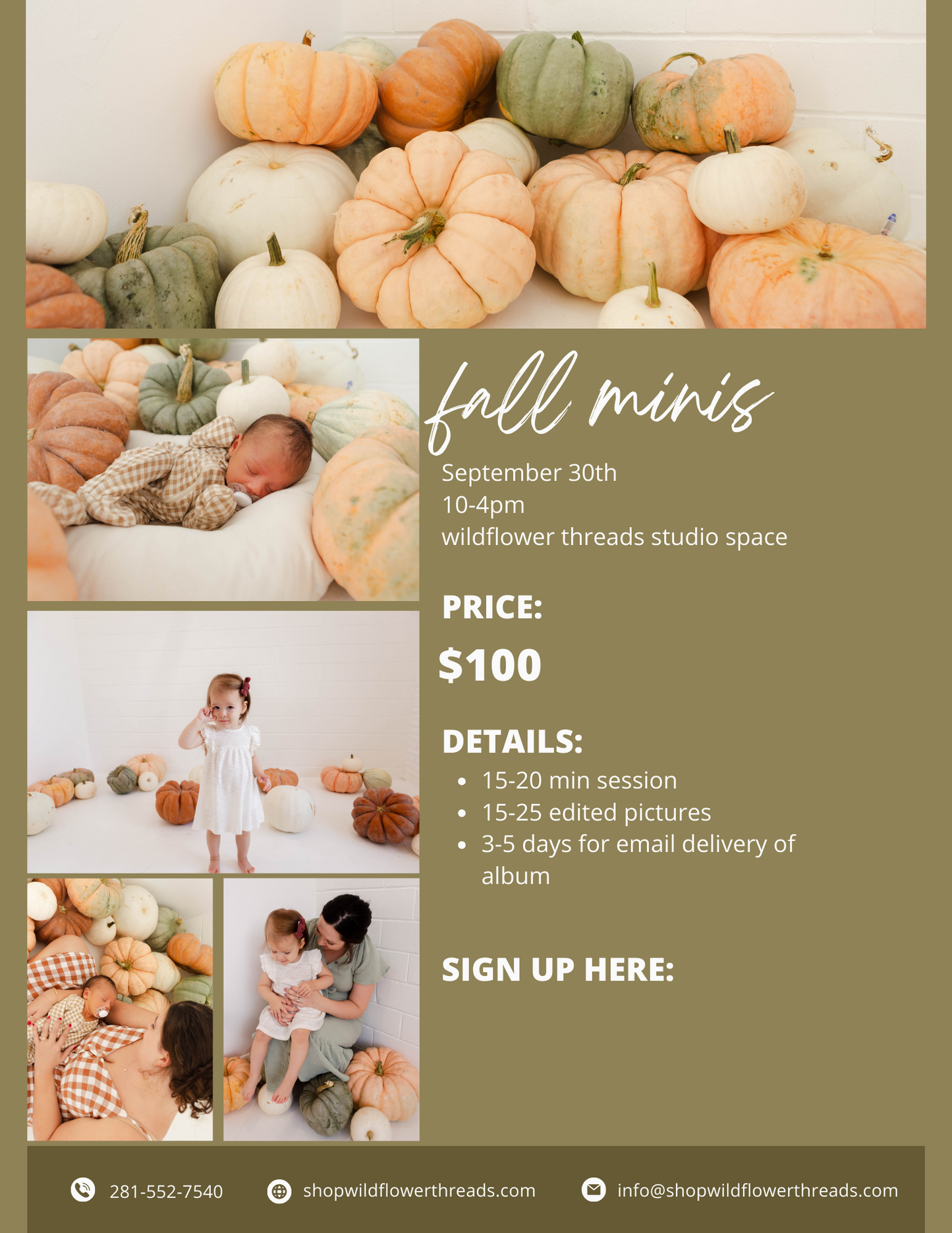 Fall Minis